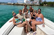 Private Rose Island Tours