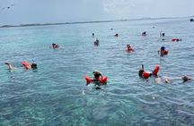 Private Rose Island Tours