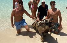 Private Rose Island Tours