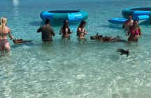 #1 Rated 4 Hour Private Rose Island Tour Beach Snorkeling Turtles