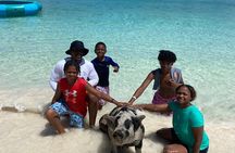#1 Rated 4 Hour Private Rose Island Tour Beach Snorkeling Turtles