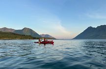 Afternoon Kayaking Adventure in Lofoten