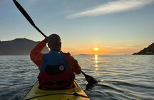 Afternoon Kayaking Adventure in Lofoten