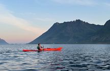 Afternoon Kayaking Adventure in Lofoten