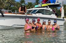 Palm Beach Luxury Day Boat Cruises