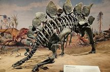 Exclusive Drumheller Private Tour from Calgary