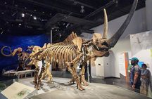 Exclusive Drumheller Private Tour from Calgary