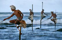 Southern Sri Lanka Day Tour with Barberyn Island Visit