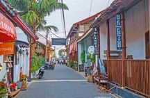 Galle Day Tour with Train Ride from Colombo or Negombo