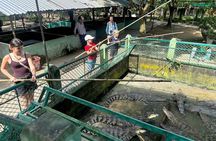 Private Tour - Amazing Mekong Delta Day Trip