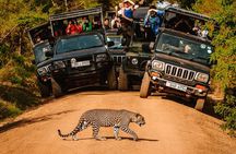 Yala National Park Leopard Safari Wildlife Private Adventure