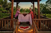 Bali Monkey Sanctuary and Firefly Night Tour