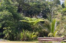 Explore the Wonders of New Caledonia from Noumea Cruise Terminal