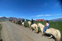 Horse Riding Tour and Explore Scenery in Gásir Akureyri