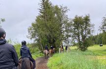 Horse Riding Tour and Explore Scenery in Gásir Akureyri