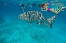 Private Sky Snorkeling Tour
