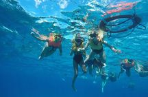 Private Sky Snorkeling Tour