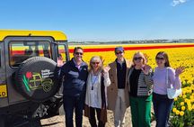 Enjoy the Tulips in a Landrover with a local guide