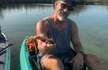 Bonita Springs Eco Kayak Tour – Best Gear, Premium&Clear Kayaks