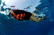 Los Cabos Platinum Snorkel Experience
