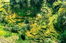 Private East Bali Highlights Tour with Customizable Itinerary