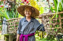 Private East Bali Highlights Tour with Customizable Itinerary