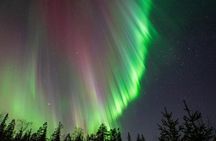 Northern Lights Hunting Tour - Group up to 6 travellers
