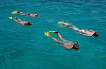 Mnemba Island Snorkel and Seafood BBQ Adventure