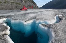 Valdez Helicopter Flight with Glacier Landing (1 Hour)