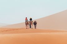 4 Day Tour From Fes Through The Desert Of Merzouga To Fes