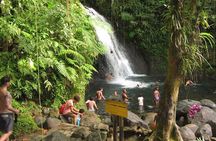 Local Market, Crayfish Waterfall and Rum Distillery with Tasting
