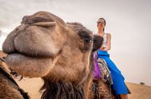 3-Day & 4-Day Shared Group Desert Tours from Marrakech
