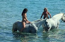 Zakytnhos Horse Riding Swimming Experience