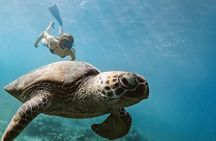 Gili Islands, Lombok: Private Snorkeling Boat Trip