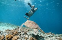 Gili Islands, Lombok: Private Snorkeling Boat Trip