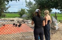 Hoi An Unseen Villages Discovery Private Biking Tour