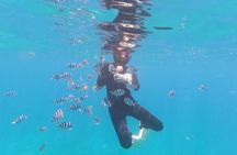 Ishigaki Island Snorkeling Tour - Let's swim with corals and mackerel!!～