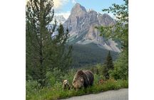Moraine Lake, Lake Louise Afternoon Tour Half day From Banff