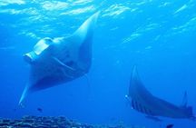 [Half day] Charter diving experience at Ishigaki Island - Novices welcome!!～