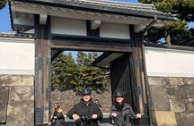 Tokyo: E-scooter Ride around the Imperial Palace area