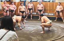 Tokyo Morning Sumo Practice Viewing Tour at a Real Stable