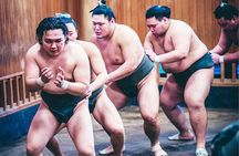 Tokyo Morning Sumo Practice Viewing Tour at a Real Stable