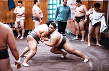 Tokyo Morning Sumo Practice Viewing Tour at a Real Stable