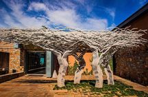 Private Stellenbosch Wine Tour