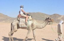 Buggy Car Safari Tour & Camel Ride With Transfer :Marsa Alam