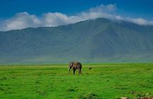 4 Day Affordable Northern Tanzania Camping Safari