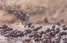 8 Day Perfect Tanzanian Safari Explore Northern Circuit 