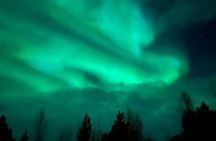 Snowshoe Expedition with Local Guides in Artic Terrain