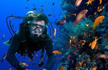  Open Water PADI Course Diving in Red Sea - Hurghada