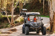 3 Hours Guided Buggy Safari Adventure in the Mountains of Mijas